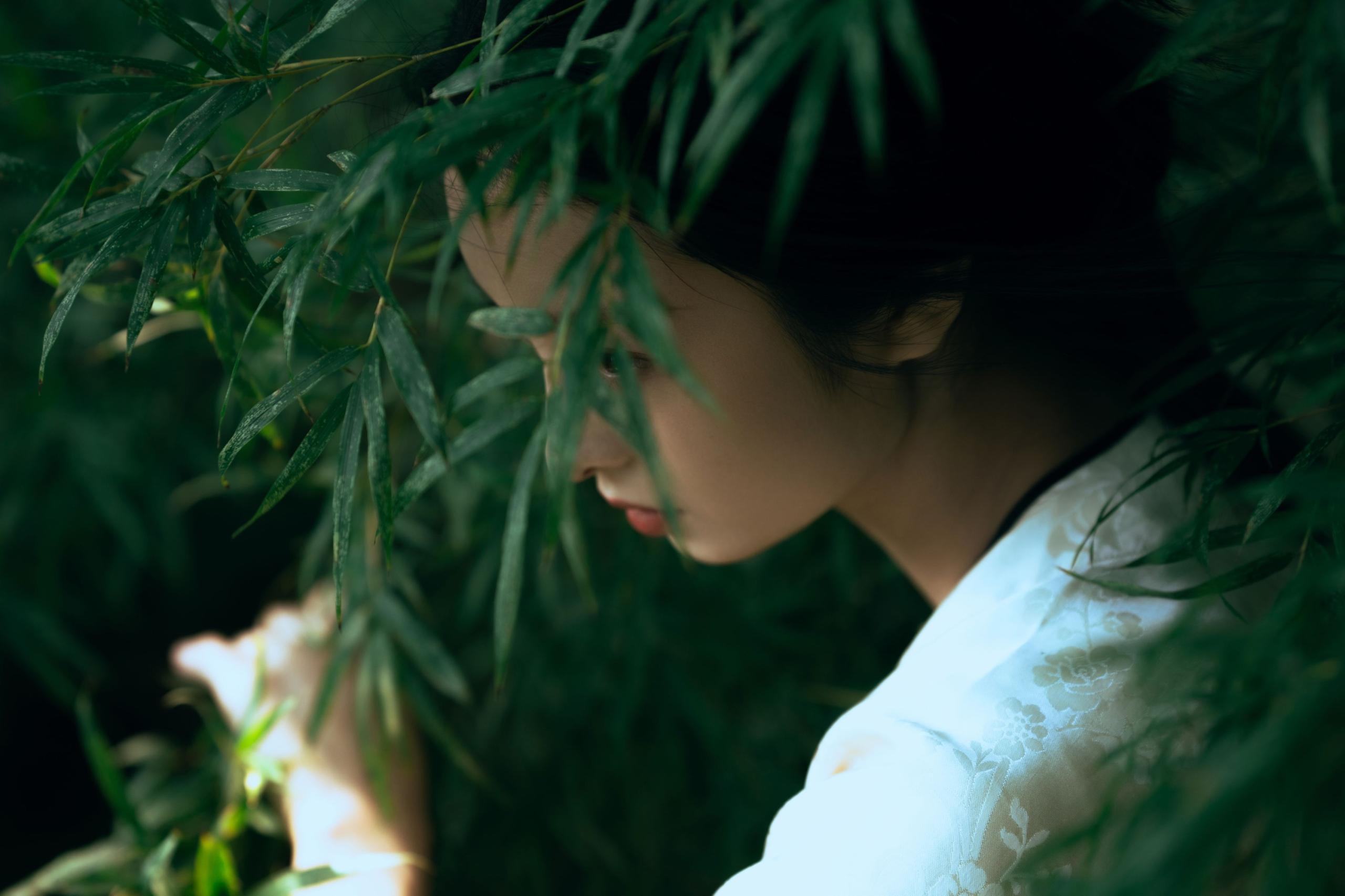 ID10111卧虎藏龙 - 妍画集-妍画集